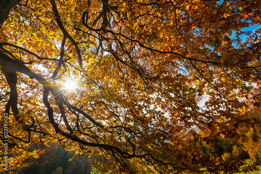 October autumn scenery in remote mountain area in Transylvania October autumn scenery in remote mountain area in Transylvania