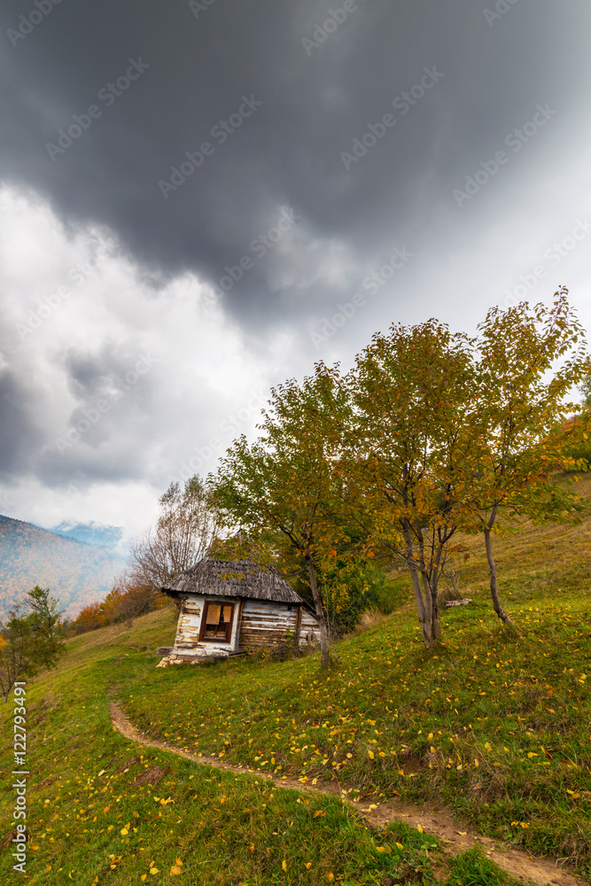 Obraz premium Pretty autumn scenery and autumn foliage in remote rural area in the mountains of Transylvania, Romania