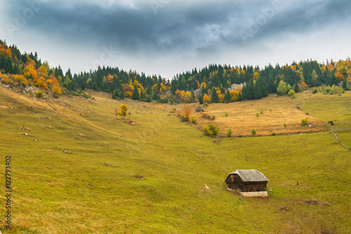 Pretty autumn scenery and autumn foliage in remote rural area in the mountains of Transylvania, Romania
