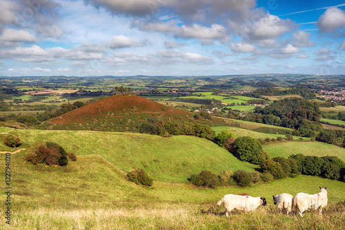 Dorset Countryside photo