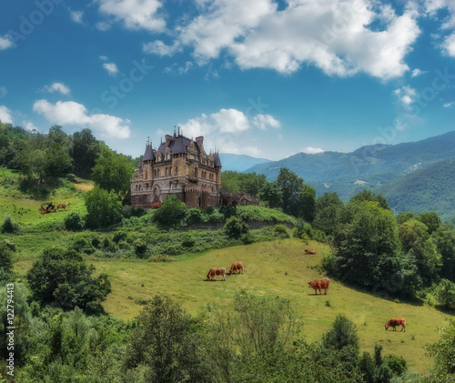 Rural landscape with a castle