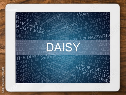 daisy photo