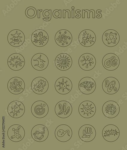 Set of organisms simple icons