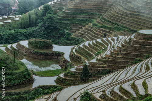 Photography Longsheng rice terraces, Dazhai, Guilin, China