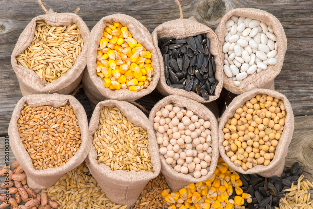 Fototapeta premium bags with cereal grains (oat, barley, wheat, corn, beans, peas, soy, sunflower)