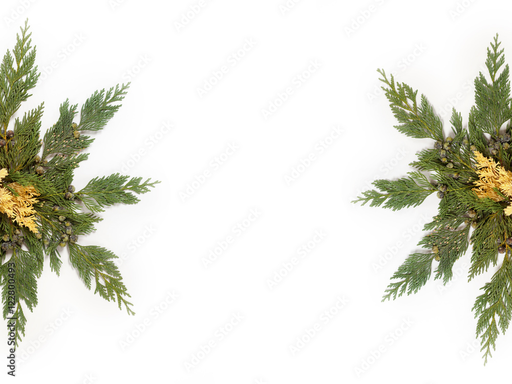 Evergreen leaves arranged in star shape isolated on white 