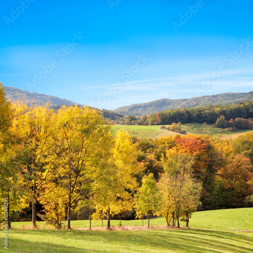 Herbstlandschaft vor blauem Himmel