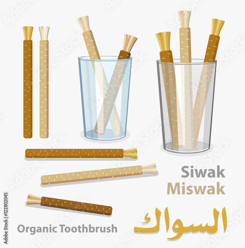 Old islamic traditional natural toothbrush Miswak or Siwak. photo