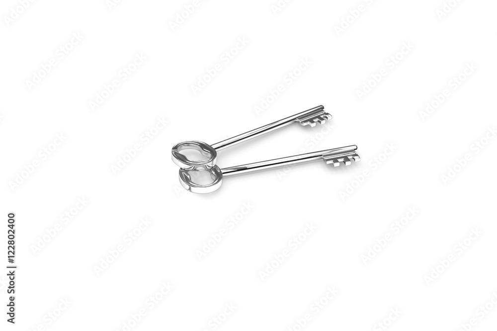 3d illustration of a key to the door, happiness, love and home 3d illustration of a key to the door, happiness, love and home