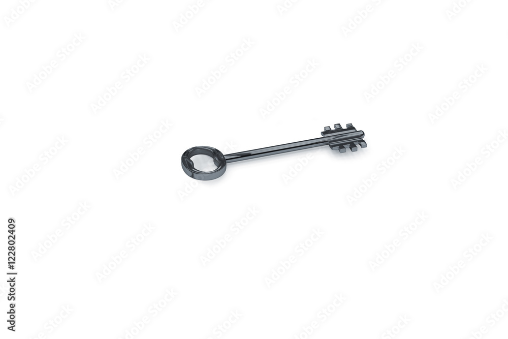 3d illustration of a key to the door, happiness, love and home 3d illustration of a key to the door, happiness, love and home