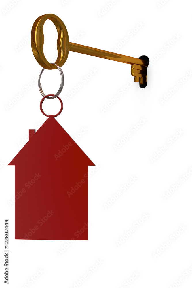 3d illustration key to open the door 3d illustration key to open the door