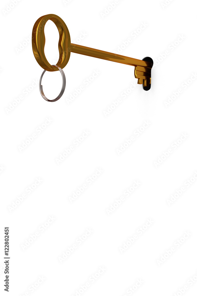 3d illustration key to open the door 3d illustration key to open the door