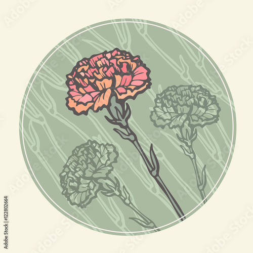 Vintage hand drawn graphic carnation. Doodle drawing and sketch.