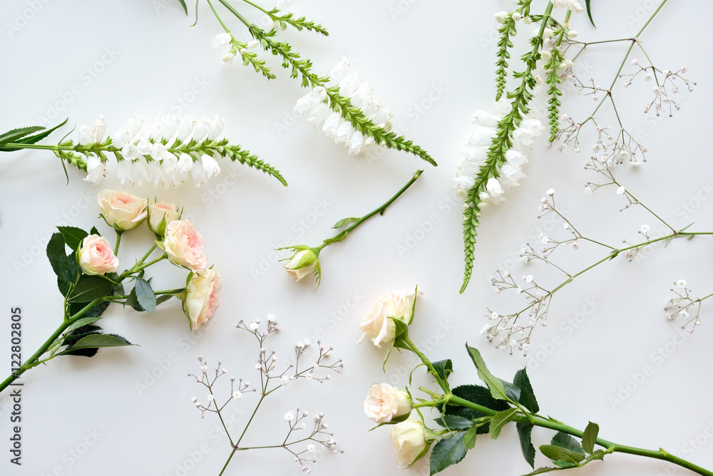 Assorted roses heads on white background. Flowers and leaves scattered on a table, overhead view wallpaper. Flat lay, top view. Assorted roses heads on white background. Flowers and leaves scattered on a table, overhead view wallpaper. Flat lay, top view.