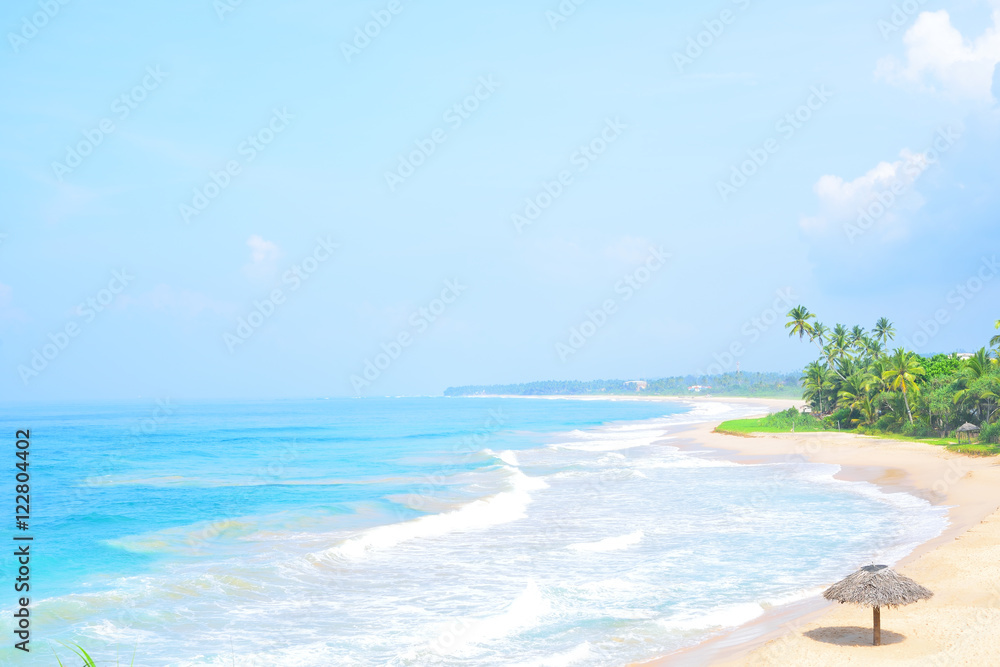 Beautiful tropical beach with nobody, palm trees and golden sand top view. Wave roll into beach with white clean foam.