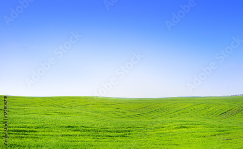 Beautiful summer field landscape scenic view