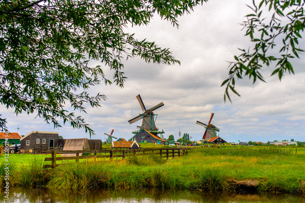 Fototapeta premium Leaves surrounding view of windmills