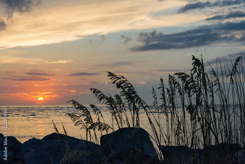 Serene sunrise. Sea grasses. Folly Beach, South Carolina.