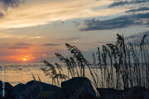 Obraz na płótnie Serene sunrise. Sea grasses. Folly Beach, South Carolina. w salonie