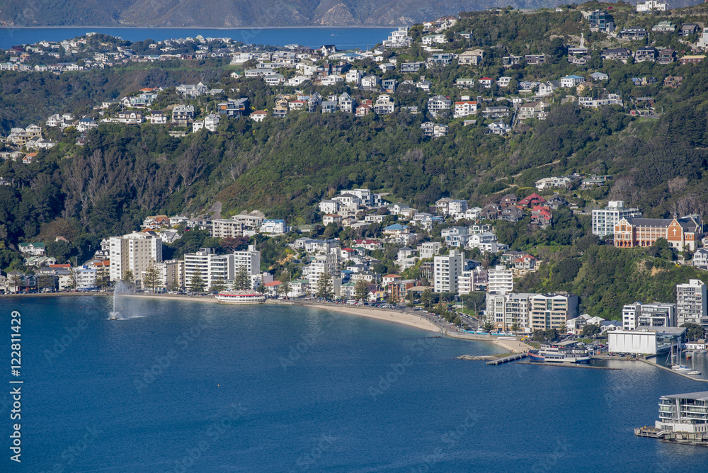 Wellington City Panorama from Tinakori Hills