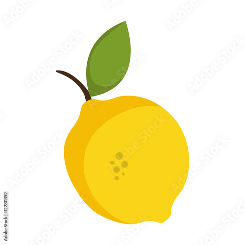 yellow lemon acid fruit with green leaf. healthy food natural. vector illustration