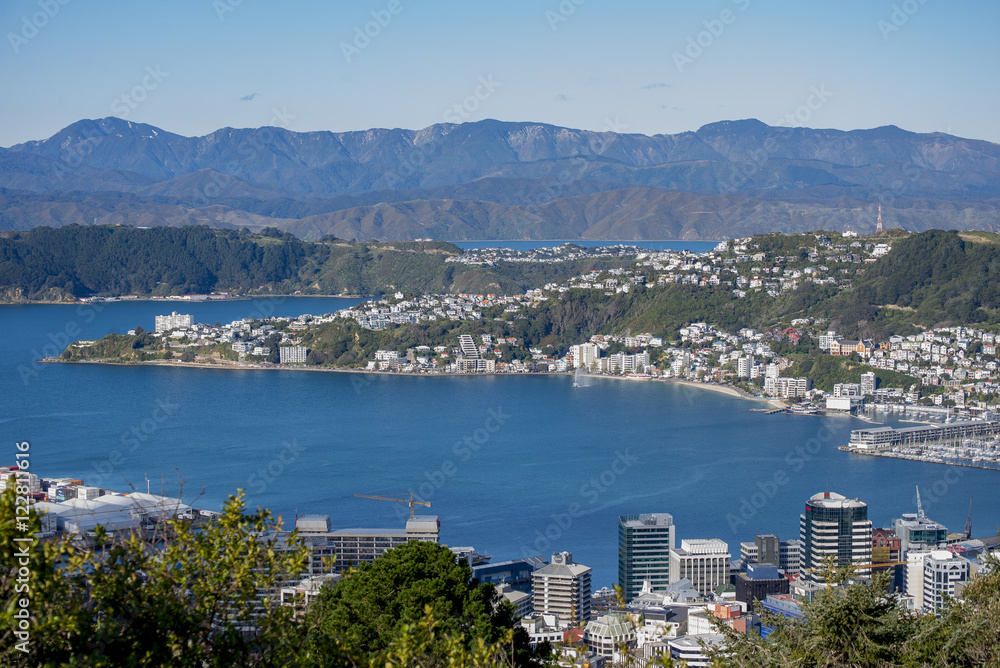 Obraz premium Wellington City Panorama from Tinakori Hills