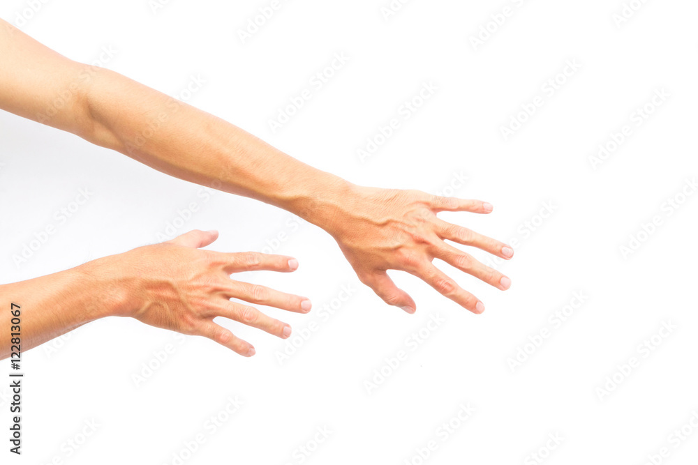 Man back hand with blood veins on white background Man back hand with blood veins on white background
