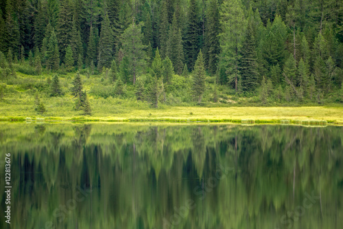 Reflection of forest in mountain lake
