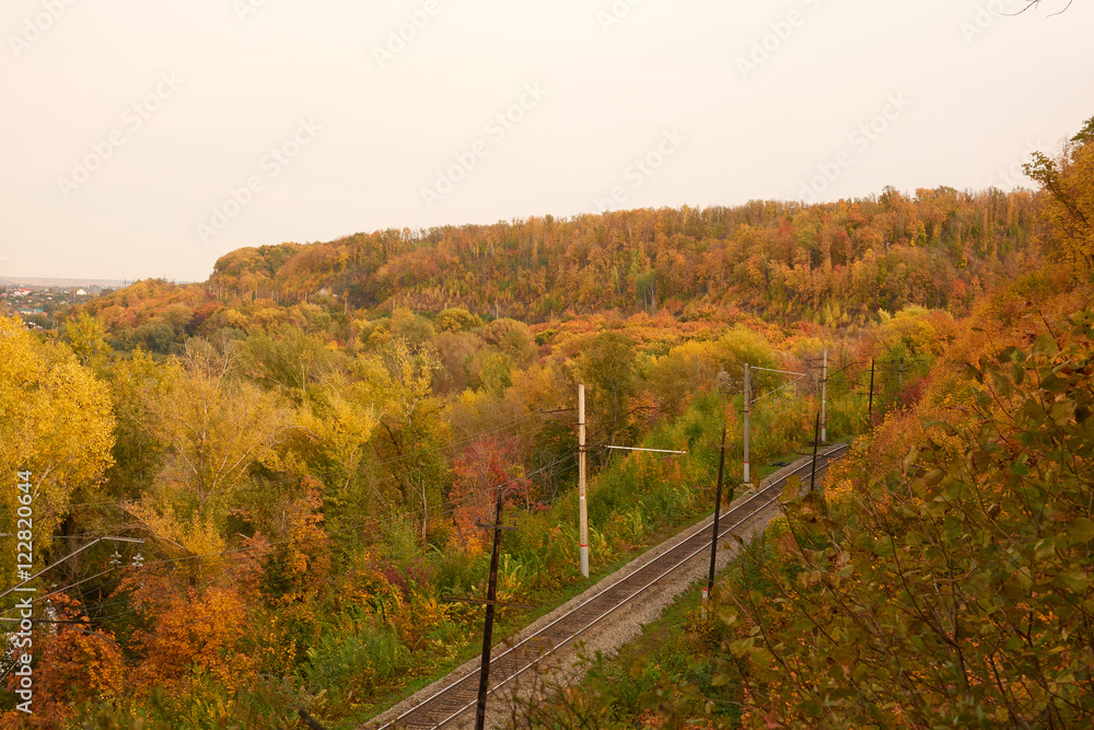 Top view of Railway track in a beautiful autumn forest fog. dam Top view of Railway track in a beautiful autumn forest fog. dam