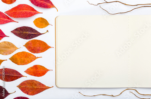 Open notepad with autumn leaves on a white background