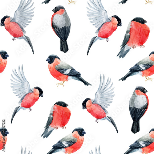 Watercolor bullfinch bird pattern © zenina