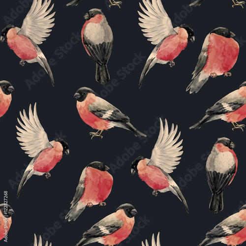 Watercolor bullfinch bird pattern