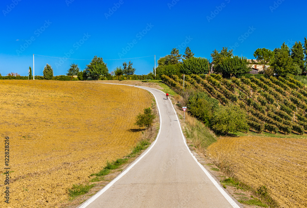 serpentine road through the plowed fields