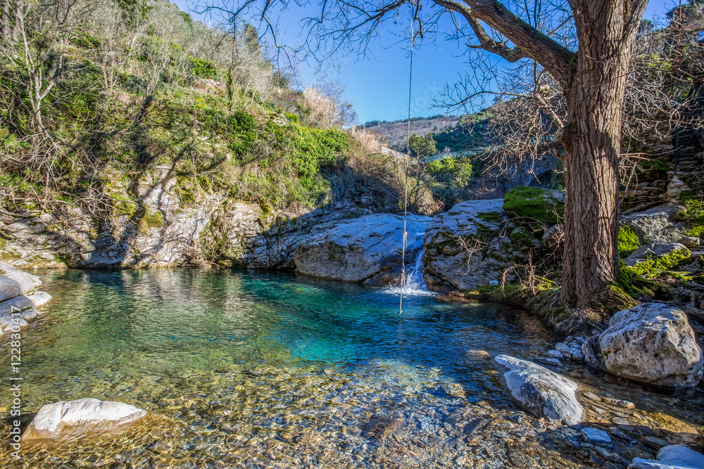 Green pond in a beautiful countryside on a sunny day with blue sky Green pond in a beautiful countryside on a sunny day with blue sky