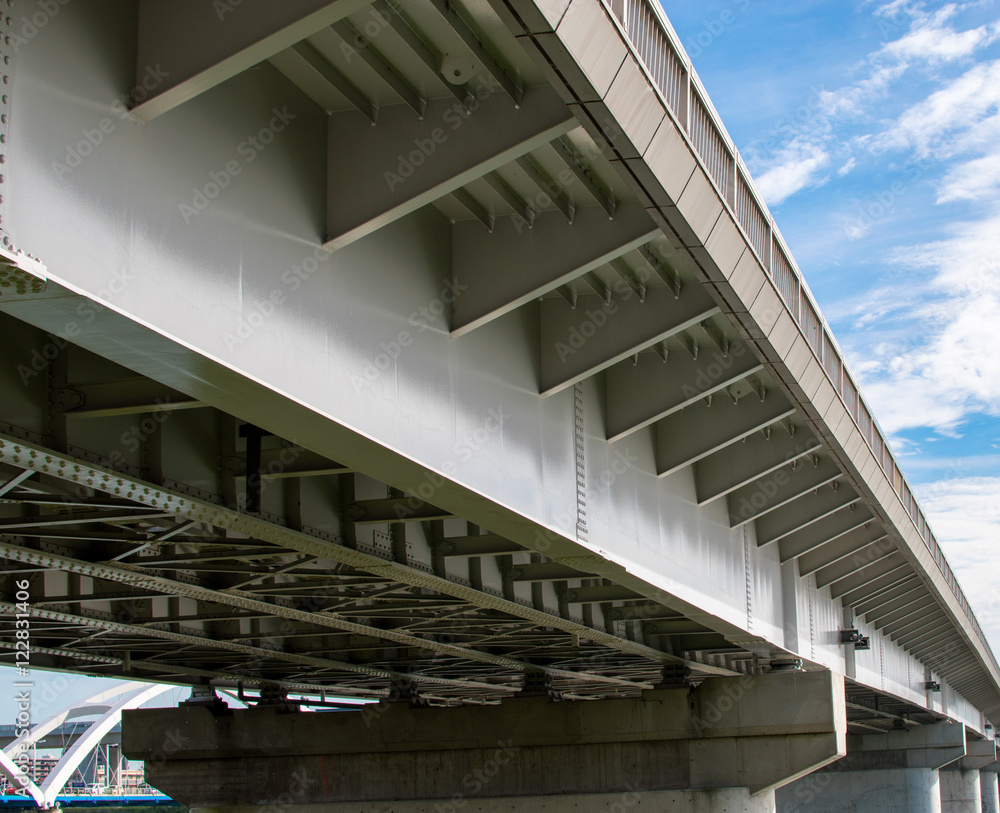 Fototapeta premium 鉄橋