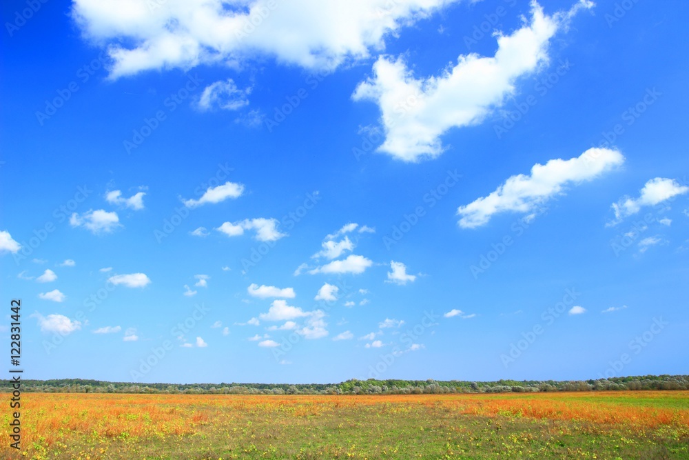 Obraz premium Beautiful landscape in fall