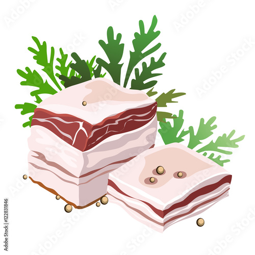Piece of pork fat with spices and herbs, vector