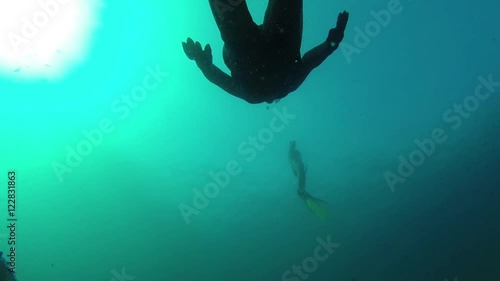 Wallpaper Mural aquarium video Torontodigital.ca