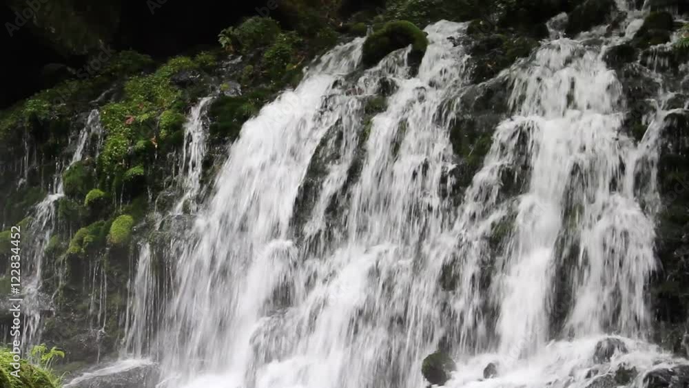 元滝伏流水 元滝伏流水
