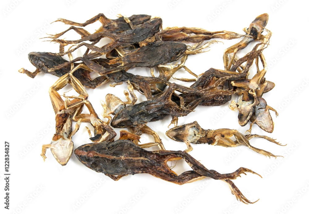 Fototapeta premium Dried toads isolated on white background.Dried small green frog