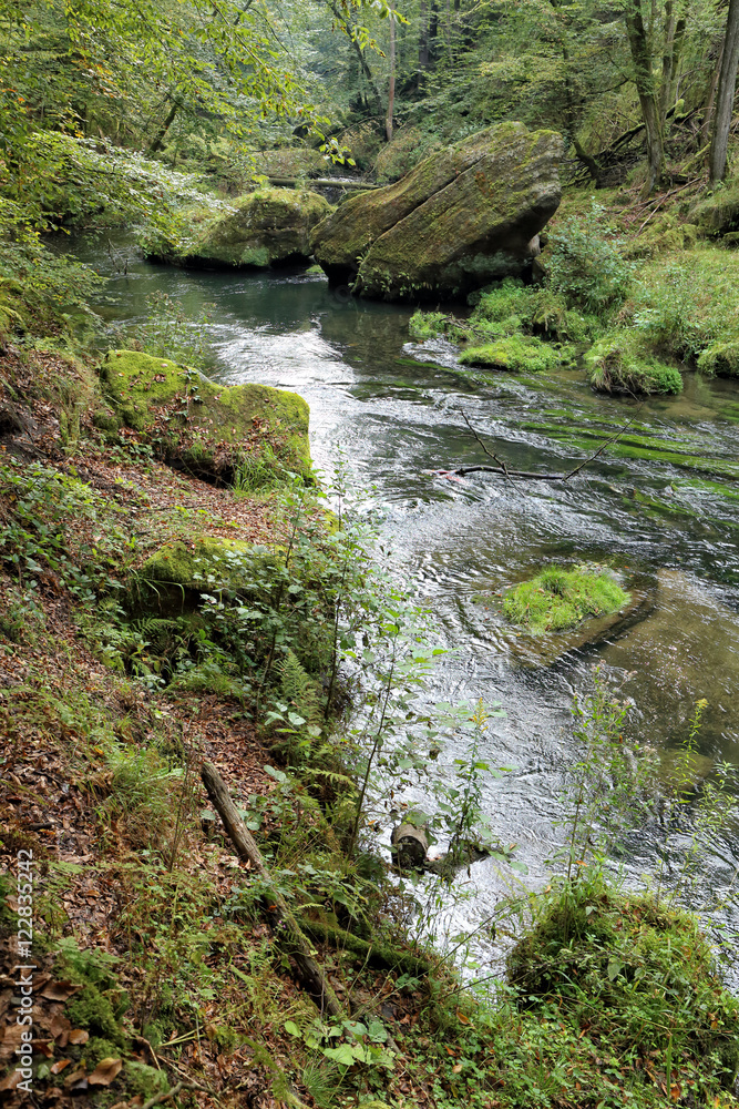 River with big stones in the green valley River with big stones in the green valley