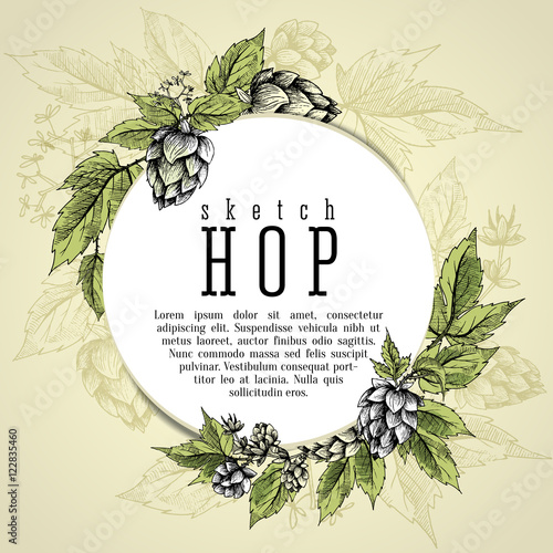 Beer hops round frame hand drawn hops branches with leaves, cones and hops flowers, color sketch and engraving design hops plants. All element isolated. Common hop or Humulus lupulus branch.