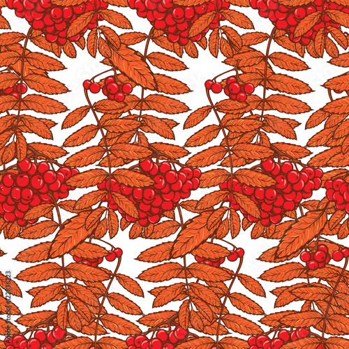 Autumn rowanberry leaves and seads seamless pattern