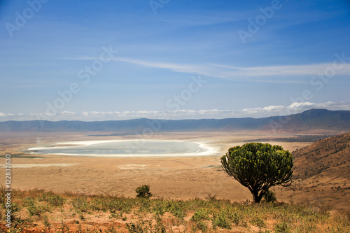 Panorama sur le site du cratère du Ngorongoro photo