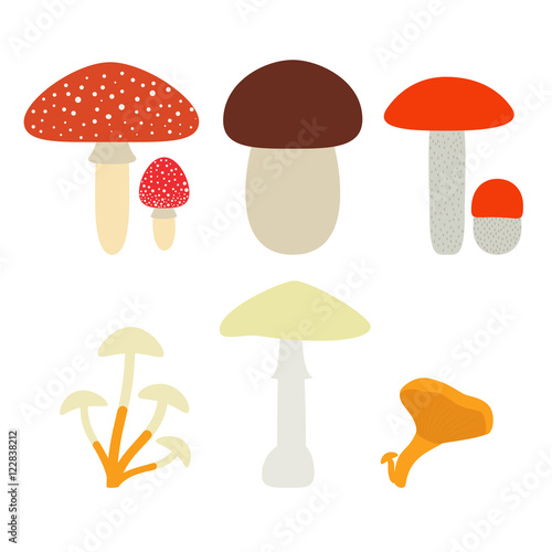 Mushrooms set