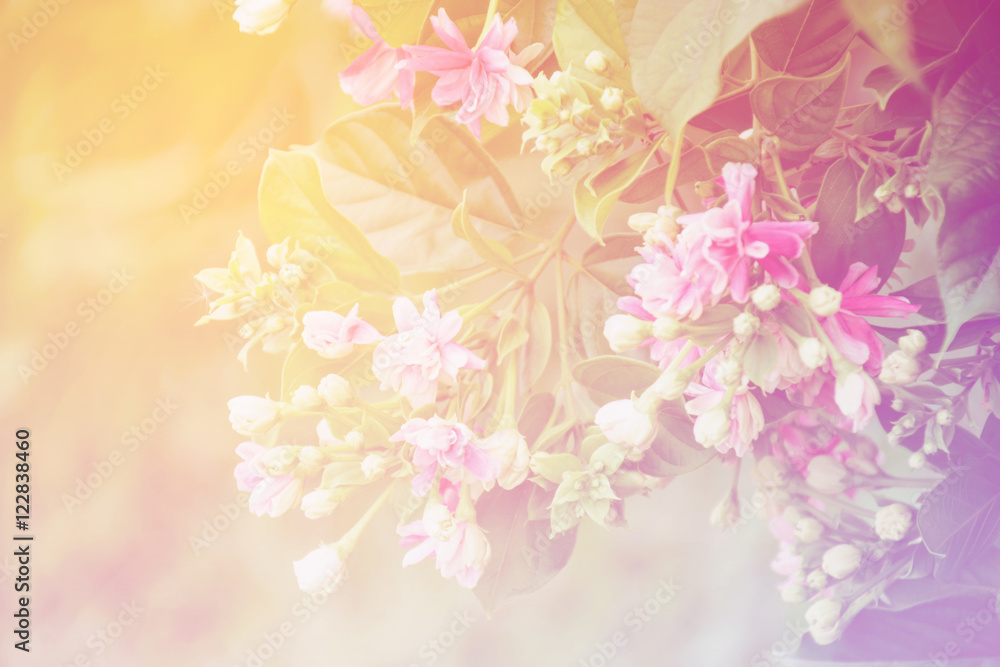 Blur Floral background gradient