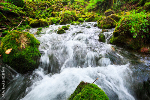 Autumn landscape with mountain river flowing among mossy stones through the colorful forest. Silky smooth stream of clear water. Beautiful cascade small waterfalls. Stream in the wood.