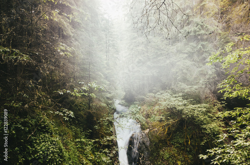 natural waterfall with lush...