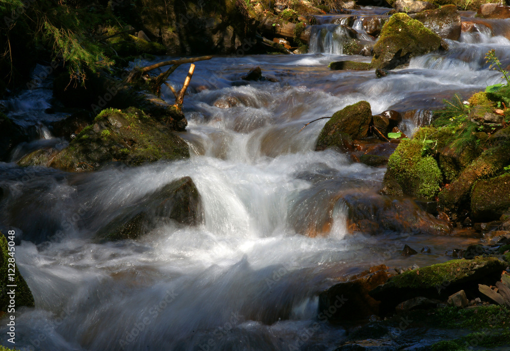Naklejka premium Waterfall and forest stream in the Carpathian mountains. Ukraine. Europe