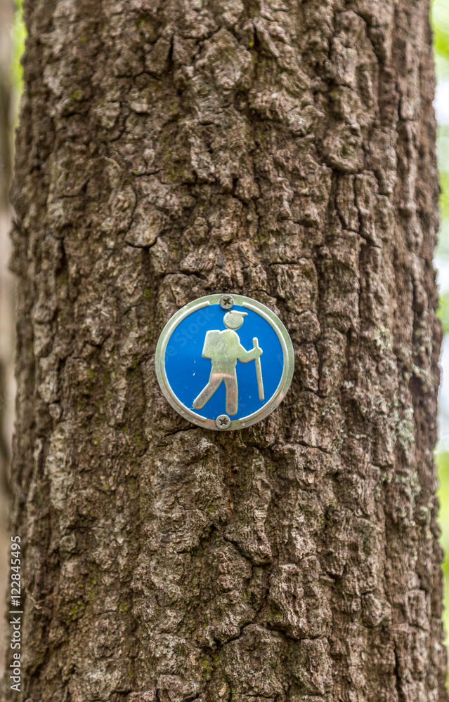 Fototapeta premium Blue hiking blaze